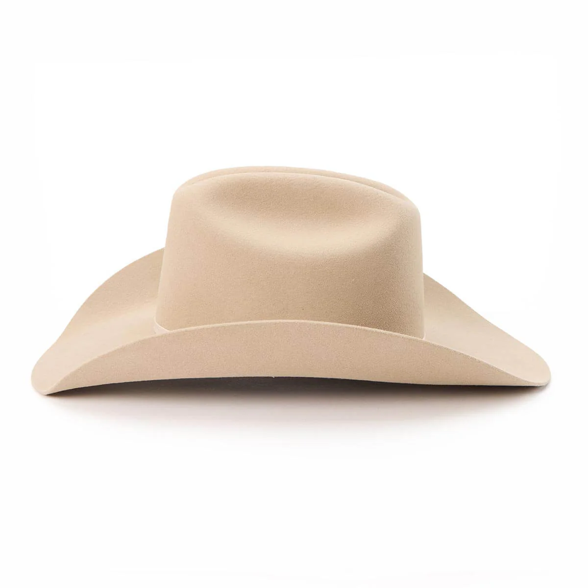 Longhorn 4X Hat Stone - Image 4